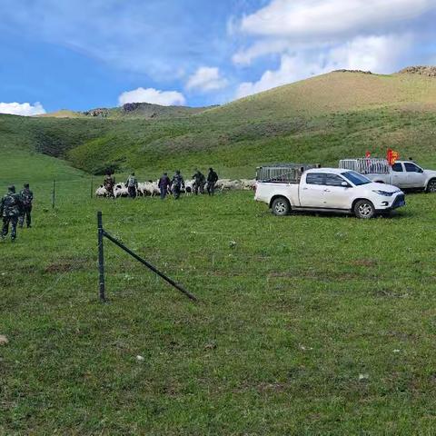 巴仁哲里木镇扎实开展“四禁”工作