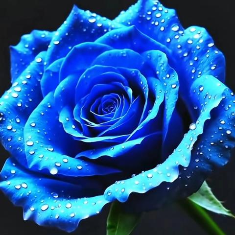 清朝中医与易经的渊源