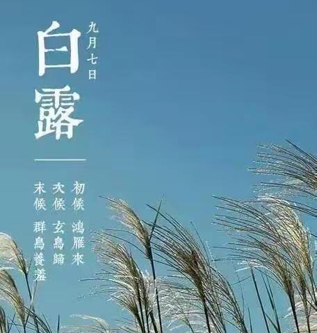 二十四节气——白露