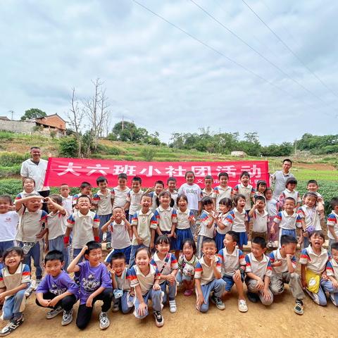 “芒”有所得，“种”有所获——文山市第一幼儿园大六班芒种主题活动