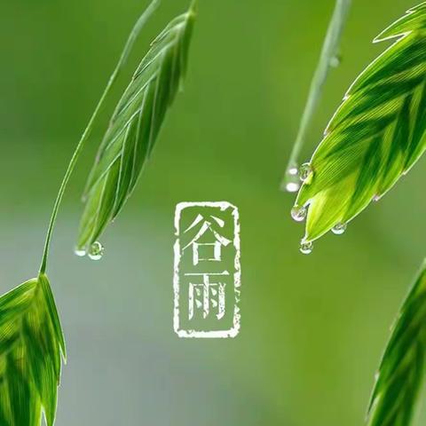 “雨生百谷·春去夏来”主题活动——苗尾乡中心幼儿园果果二班第八周