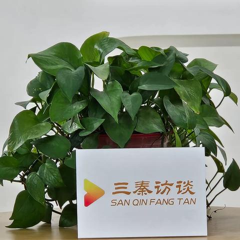 《三秦访谈》栏目走进莲湖区残疾人创业孵化服务中心