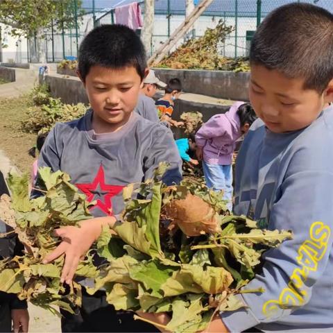 国庆节劳动周--我是劳动小能手