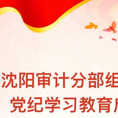 沈阳审计分部组织召开 党纪学习教育动员会