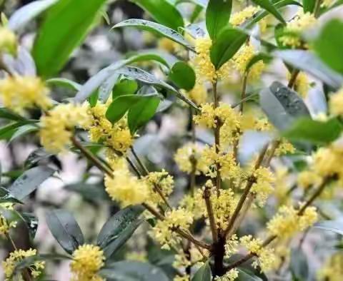 百舸争流千帆竞，借风扬帆正当时 ——茂名市教育局莅临高新中学开展高中教学与高考备考视导工作