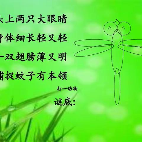 中二班省编课程《蜻蜓》