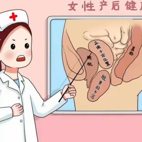 宁县人民医院盆底超声检查—关爱女性的“难言之隐”