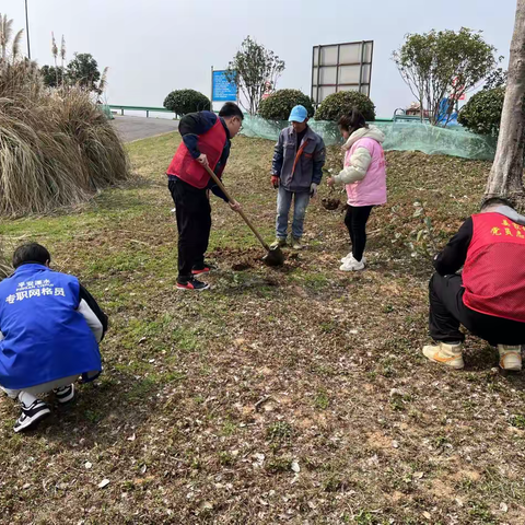不负春光添新绿 冬训实践美乡村