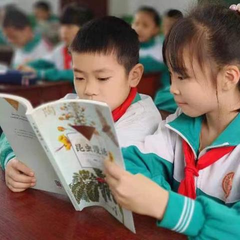 春光美如斯，正是读书时——大田县城关第二小学三年段4月份课外阅读《昆虫漫画》阅读活动