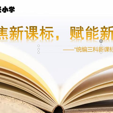 聚焦新课标，赋能新课堂—沛县汉兴小学“统编三科新课标”培训