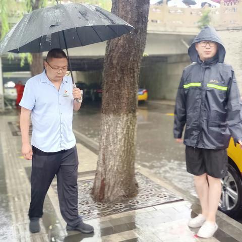 雨中行，雨后复