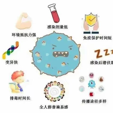 诺如病毒的防治与宣传