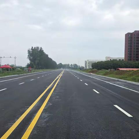 舞阳教育产业园周边道路通车，共筑学子成长坦途