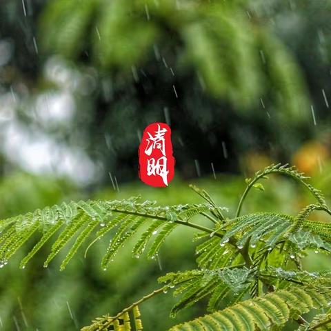 鲜衣怒马少年时，诗吟疏雨滴梧桐——记北城英才学校中学部第三届清明诗会