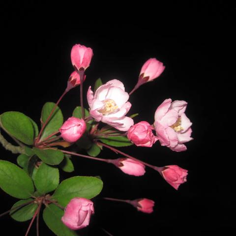 以检促教 精耕细行 ---新泰市福田实验学校小学部教学常规检查纪实