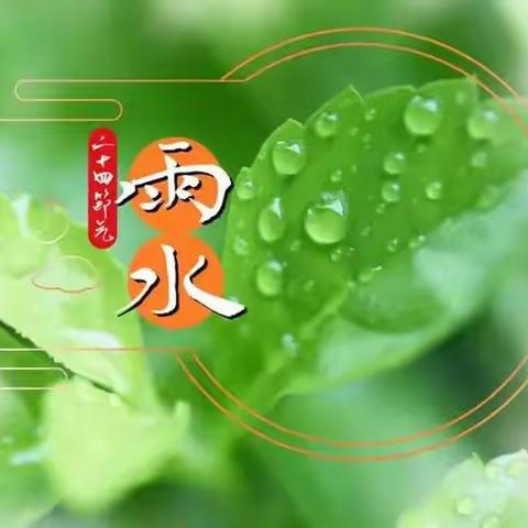 雨水至，春意晓——郑州市二七区第一幼儿园连云路园小班组