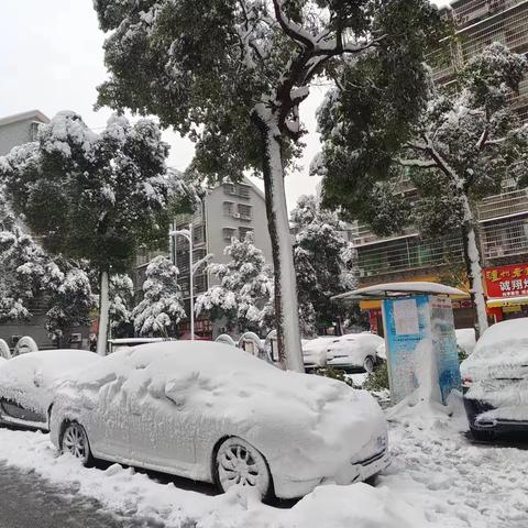 长沙终于下雪啦，你看我堆的小雪熊可爱吗