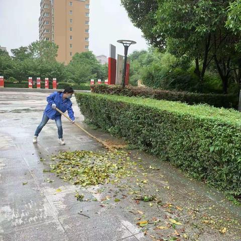 愿景园服务中心工作周报