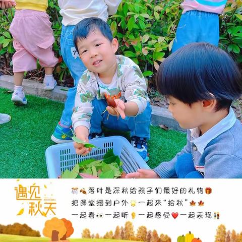 “寻落叶，拾秋趣” 梅城镇中心学校幼儿园拾秋主题活动