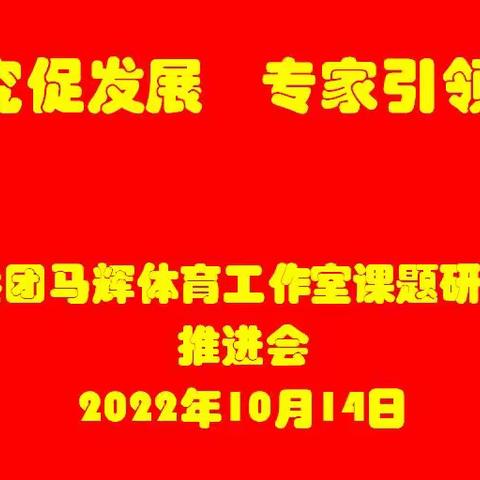 课题研究促发展 专家引领名方向——兵团马辉体育工作室课题研究推进会