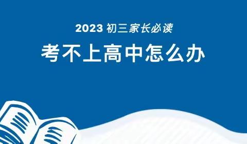 初中毕业考不上高中怎么办，家长再忙也要看一看！！