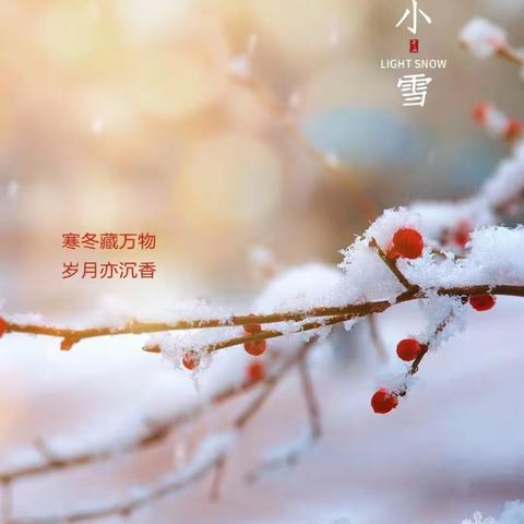 "小雪至，寒冬始"----东海县第三幼儿园小一班“小雪”节气课程故事