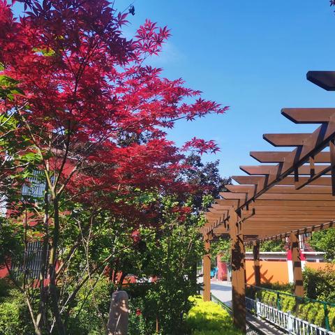 永城市黄口镇初级中学一周工作纪实（2025.4.27-4.30）