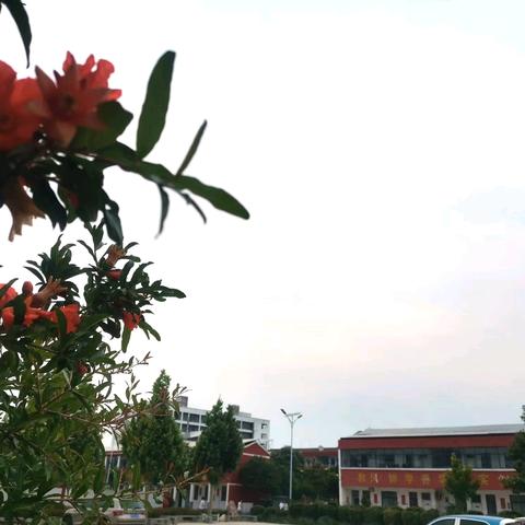 永城市黄口镇初级中学一周工作纪实（2025.5.12-5.16）