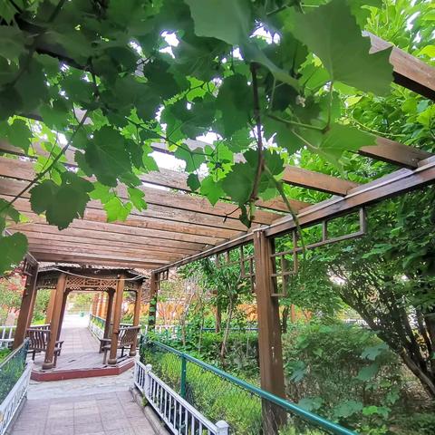 永城市黄口镇初级中学一周工作纪实（2025.5.26-5.30）