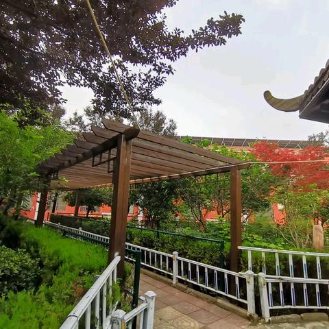 永城市黄口镇初级中学一周工作纪实（2025.6.9-6.13）