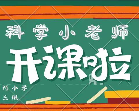 莱西市洙河小学—四年级三班科学小老师开课啦！