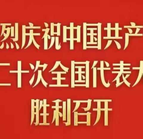 海南南国人力资源开发有限公司党支部对党的二十大反响汇报