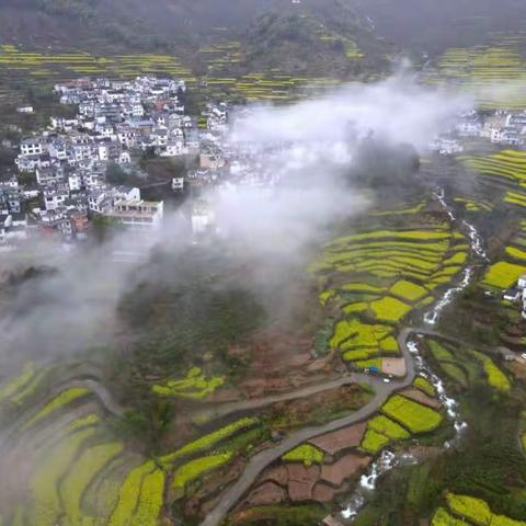 烟雨江南醉美赏花线路