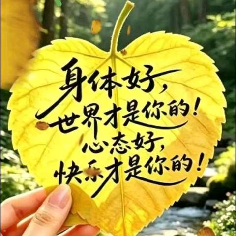 自然与生活的温柔絮语
