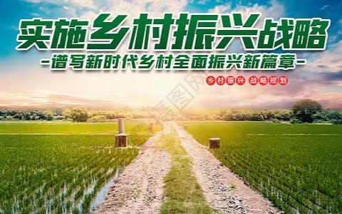 全面推进乡村振兴各项重点任务落到实处