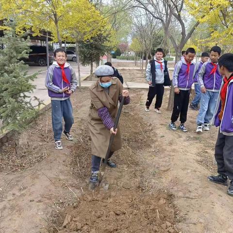 “蔬”香为伴，“菜”满校园——同心县河西镇纪家完全小学劳动教育校园种植篇