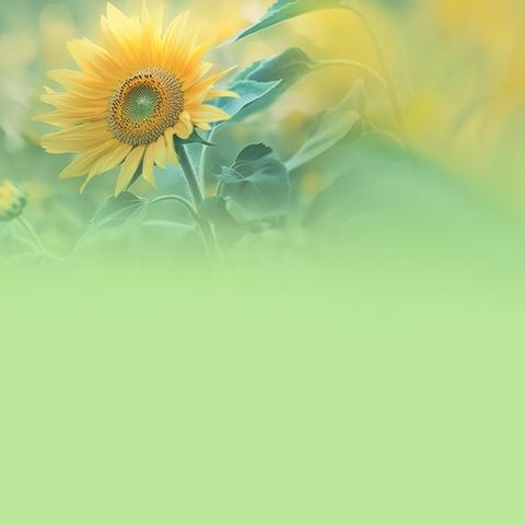 花开半程，精彩再续 ﻿——安岳县青少年校外活动中春季第十期兴趣特长培训风采﻿