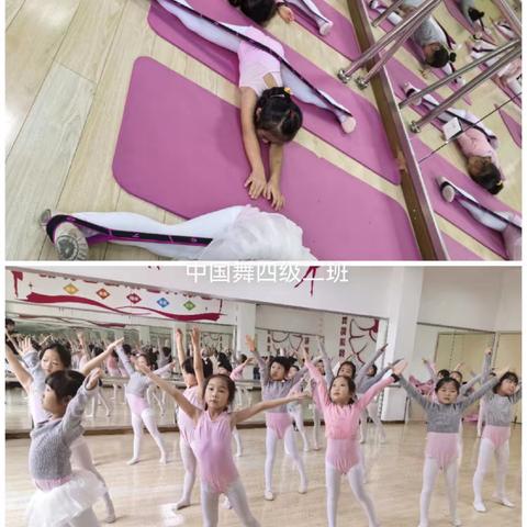 安岳县青少年校外活动中心第六次特专长培训简篇