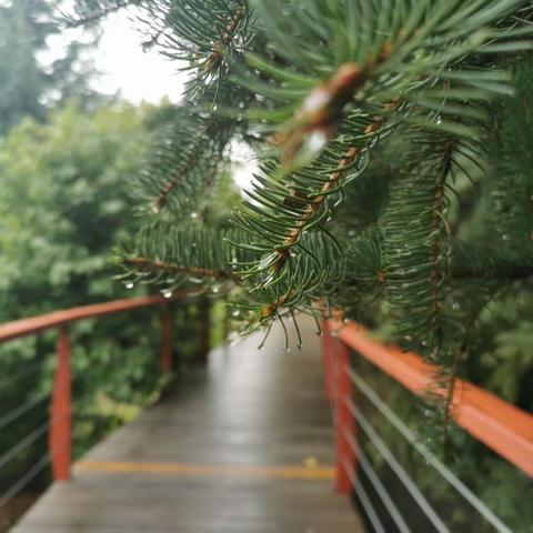 洗肺伊春