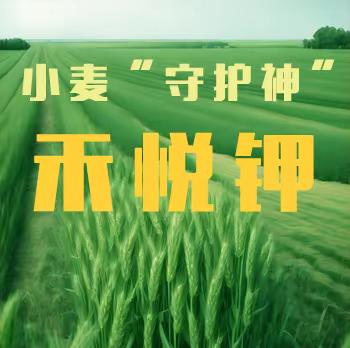 禾悦钾系列产品【保障农民利益和权益，助力国家粮食安全根基的夯实】