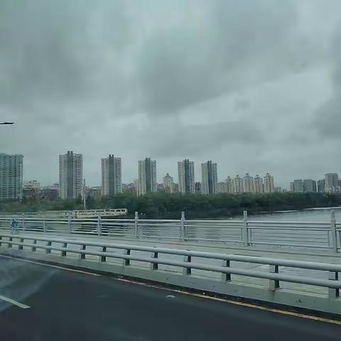 城与林的呼吸