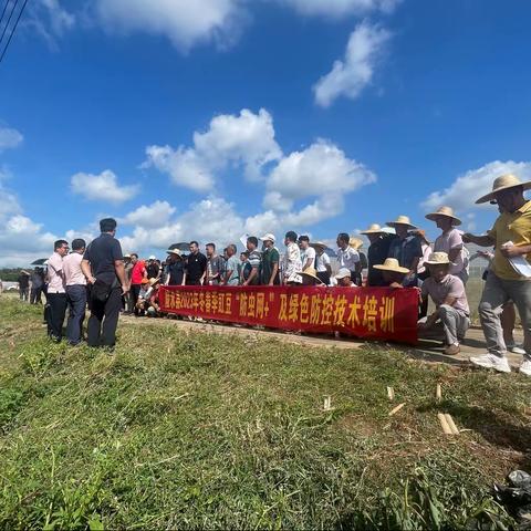 【县农业技术管理局】陵水县2023年冬春季豇豆“防虫网+”搭建及绿色防控培训指导技术