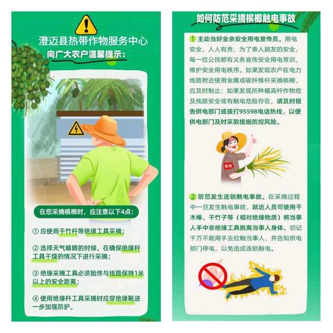 【澄迈县热带作物服务中心】 开展“采摘槟榔防触电安全宣传教育活动”
