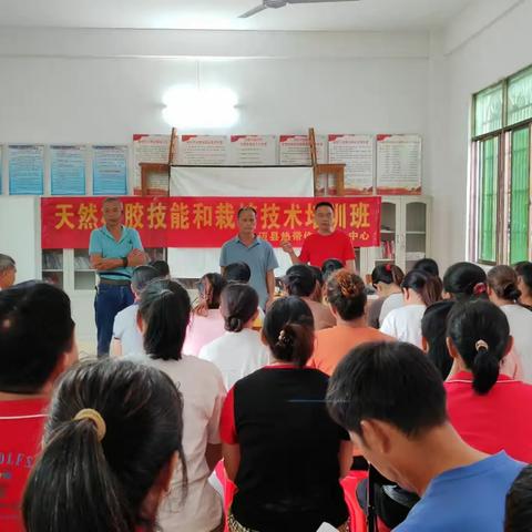 澄迈县热带作物服务中心|深入乡镇开展割胶技能“大练兵”培训