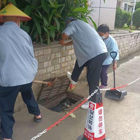 正值夏季，气温高雨水大，伴随着蚊虫的孳生，有一种传染病悄悄的潜伏在我们身边，伺机而动，它就是“登革热”。为增强防控登革热意识，全力做好登革热防控工作，全院开展卫生大扫除工作。