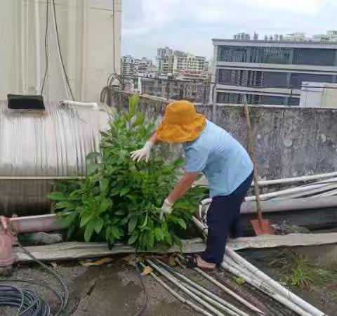 正值夏季，气温高雨水大，伴随着蚊虫的孳生，有一种传染病悄悄的潜伏在我们身边，伺机而动，它就是“登革热”。为增强防控登革热意识，全力做好登革热防控工作，我司配合院方开展了登革热防治工作部署，全面做好卫生