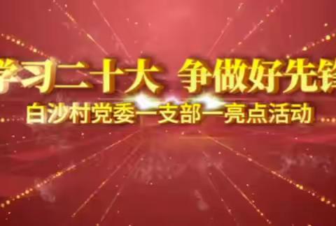 学习二十大，争做好先锋—— 白沙村党委一支部一亮点活动