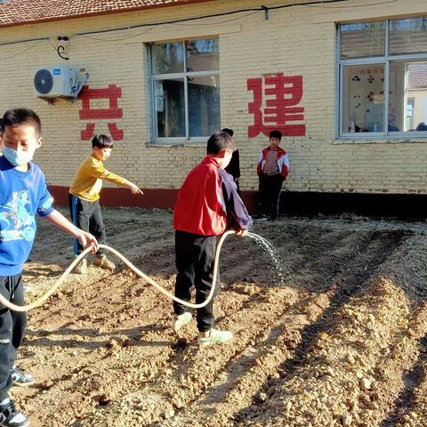 西叶庙联立小学劳动课程汇报展示