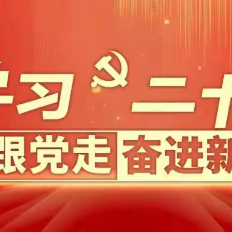 雅星黎族村集中收看党的二十大开幕会盛况