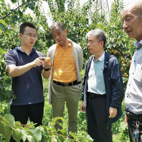 青年干部下基层学习锻炼纪实